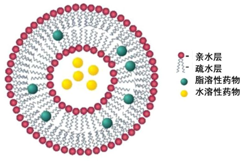 分析方法 | 脂質體藥物生物樣品分析的挑戰(zhàn)