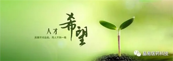 晶易醫(yī)藥獲評(píng)就業(yè)見(jiàn)習(xí)基地與研究生培養(yǎng)創(chuàng)新基地，構(gòu)筑人才發(fā)展新臺(tái)階